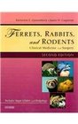 Ferrets Rabbits and Rodents  Text and VETERINARY CONSULT Package Clinical Medicine and Surgery