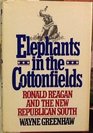 Elephants in the Cottonfields