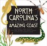 North Carolina's Amazing Coast Natural Wonders from Alligators to Zoeas