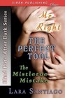 Blind Date After Dark Mr Right / The Perfect Tool / The Mistletoe Mistake