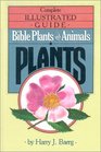 The Complete Illustrated Guide to Plants