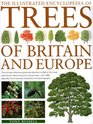 The Illustrated Encyclopedia of Trees of Britain  Europe
