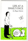 Life at a Snail's Pace