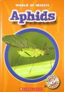 Aphids