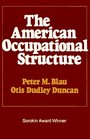 AMERICAN OCCUPATIONAL STRUCTURE