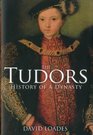 Tudors History of a Dynasty