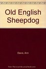OLD ENGLISH SHEEPDOG