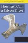 How Fast Can A Falcon Dive Fascinating Answers to Questions about Birds of Prey