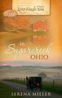Love Finds You in  Sugarcreek Ohio (Large Print)