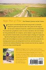 Steps Out of Time: One Woman's Journey on the Camino
