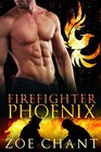 Firefighter Phoenix