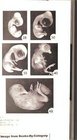 The Culture of Vertebrate Embryos
