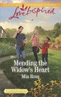 Mending the Widow's Heart