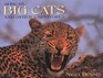 Africa's Big Cats and Other Carnivores