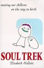 Soul Trek Meeting Our Children on the Way to Birth