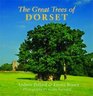 The Great Trees of Dorset