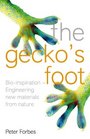 The Gecko's Foot