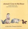 Animals come to my house A story guide to the care of small wild animals