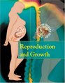 Exploring the Human Body  Reproduction and Growth