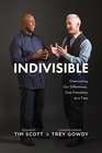 Indivisible Overcoming Our Differences One Friendship at a Time