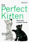 The Perfect Kitten How to Raise a Problemfree Cat