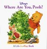 Disney's Where Are You, Pooh? (Lift-The-Flap)
