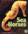 Sea Horses (Early Bird Nature)
