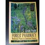 Forest Pharmacy Medicinal Plants in American Forests