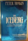 Iceberg