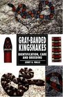 GrayBanded Kingsnakes Identification Care and Breeding