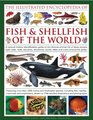 The Illustrated Encyclopedia of Fish  Shellfish of the World A natural history identification guide to the diverse animal life of deep oceans open seas  1700 illustrations maps and photographs
