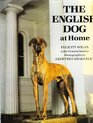 ENGLISH DOG AT HOME