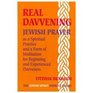 Real Davvening Jewish Prayer As a Spiritual Practice and a Form of Meditation for Beginning and Experienced Davveners