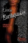 Little Earthquakes  Original Poems