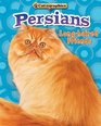 Persians LongHaired Friends