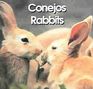 Conejos / Rabbits