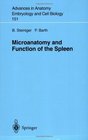 Microanatomy and Function of the Spleen