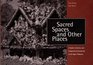 Sacred Spaces  Other Places A Guide to Grottos  Sculptural Environments in the Upper Midwest