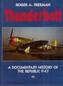 Thunderbolt A Documentary History of the Republic P47
