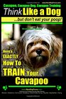 Cavapoo Cavapoo Dog Cavapoo Training  Think Like a Dog But Don't Eat Your Poop  Cavapoo Breed Expert Training  Here's EXACTLY How To TRAIN Your Cavapoo