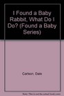 I Found a Baby Rabbit What Do I Do