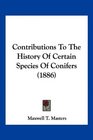 Contributions To The History Of Certain Species Of Conifers