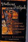 Stalking Elijah Adventures With Today's Jewish Mystical Masters