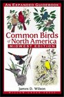Common Birds of North America