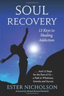 Soul Recovery 12 Keys to Healing Addiction    and 12 Steps for the Rest of Usa Path to Wholeness Serenity and Success