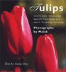 Tulips Facts and Folklore About the World's Most Planted Flower
