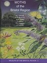 Moths of the Bristol Region