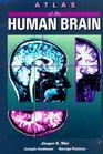 Atlas of the Human Brain