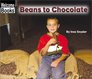 Beans to Chocolate