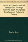 Small and MediumSized Enterprises Findings from the 2004 Workplace Employment Relations Survey